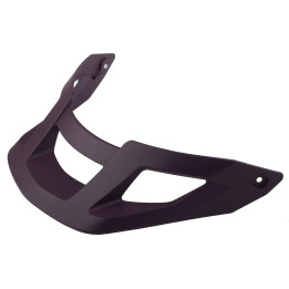 Spare visor for helmet Riot